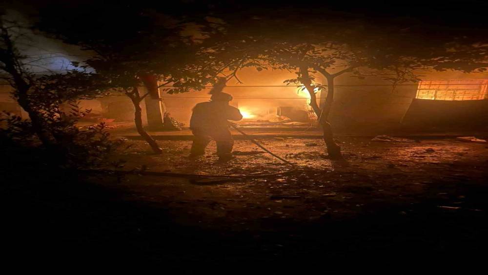 Alevlerin y&uuml;kseldiği evde mahsur kalan kediyi itfaiye kurtardı
