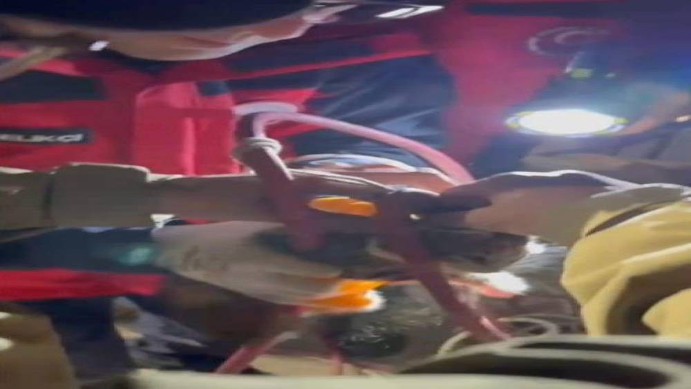 Su pompası deliğine d&uuml;şen yavru kediyi itfaiye kurtardı
