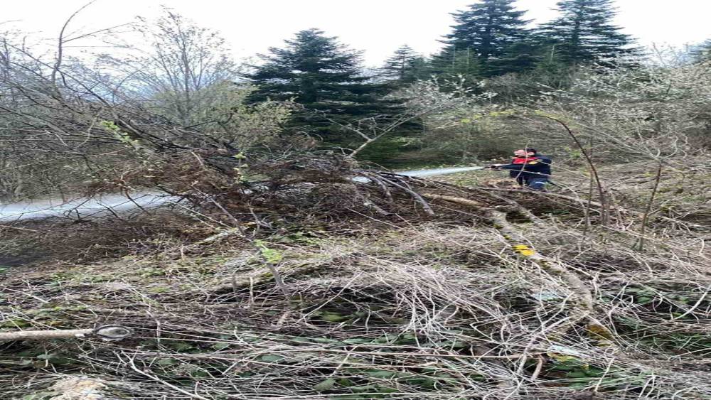 Ormanlık alanda &ccedil;ıkan yangın b&uuml;y&uuml;meden s&ouml;nd&uuml;r&uuml;ld&uuml;
