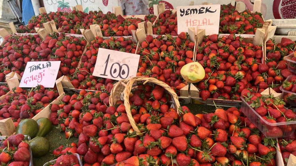Yaz meyveleri pazar tezgahlarında yerini aldı
