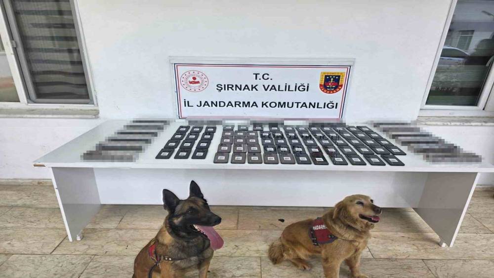 Şırnak&rsquo;ta jandarmadan asayiş, ka&ccedil;ak&ccedil;ılık ve narkotik operasyonu
