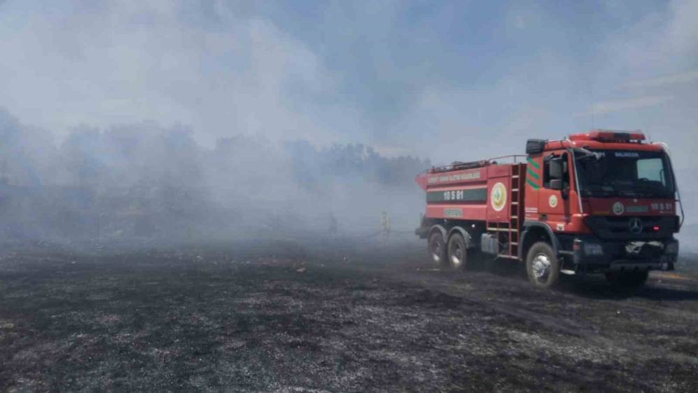Burhaniye&rsquo;de &ouml;rt&uuml; yangını zeytinliklere sı&ccedil;ramadan kontrol altına alındı
