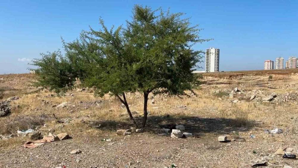 Adana&rsquo;da gen&ccedil; şahıs boş arazide &ouml;l&uuml; bulundu
