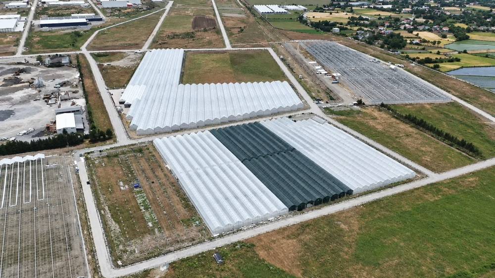Bafra&rsquo;da sera organize tarım b&ouml;lgesinde doluluk y&uuml;zde 85&rsquo;e ulaştı
