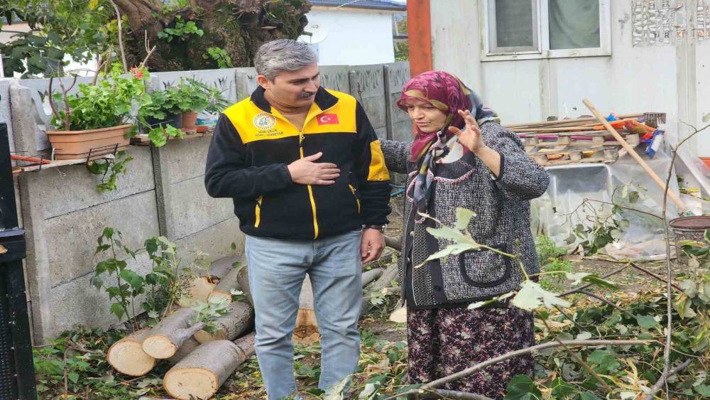Evin &uuml;zerine devrilen ağa&ccedil; kaldırıldı
