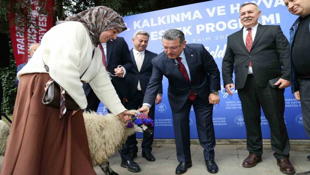 Trabzon&rsquo;da hayvancılığa destek s&uuml;r&uuml;yor
