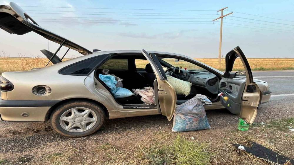 Şanlıurfa&rsquo;da 4 fıstık hırsızı su&ccedil;&uuml;st&uuml; yakalandı
