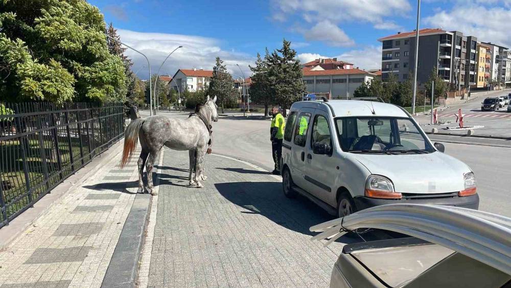 Karaman&rsquo;da firari atın otomobile &ccedil;arptığı anlar kameraya yansıdı
