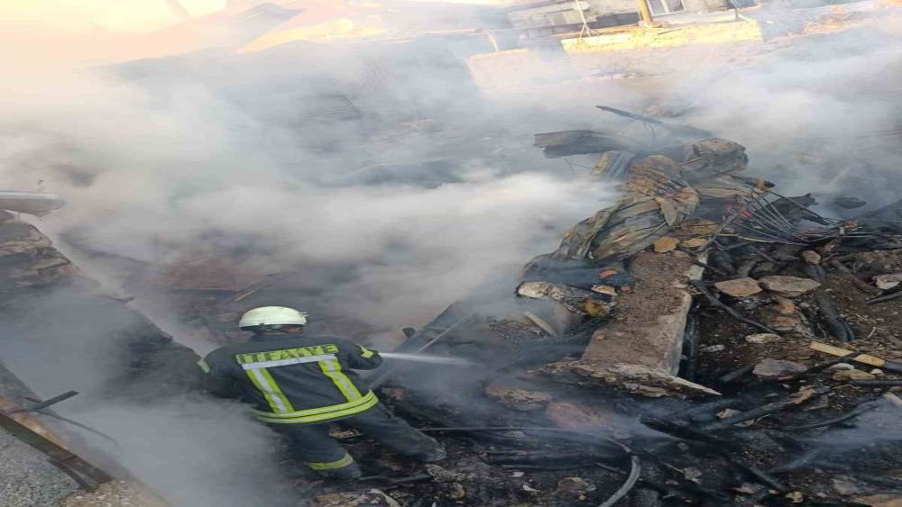 Ahırda başlayan yangın iki eve sıçradı
