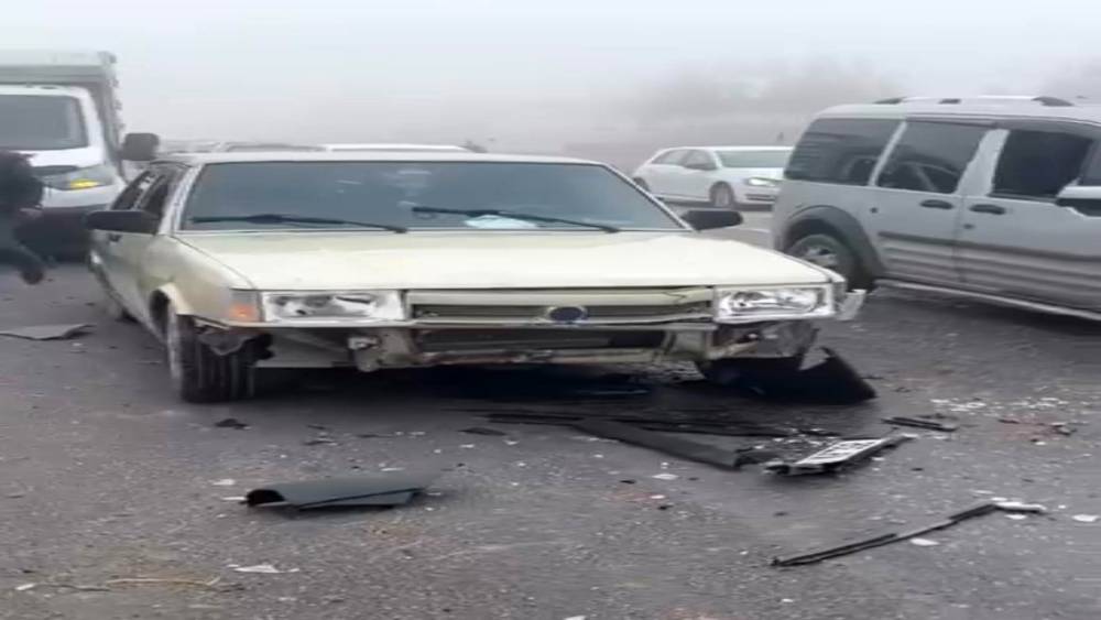 Siirt’te sis kazaya neden oldu: 3 koyun telef oldu
