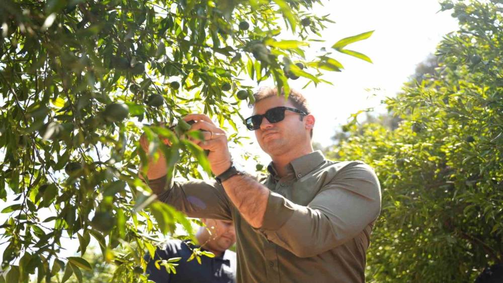Bodrum Mandalini T&uuml;rkiye&rsquo;nin d&ouml;rt bir yanına ulaşıyor
