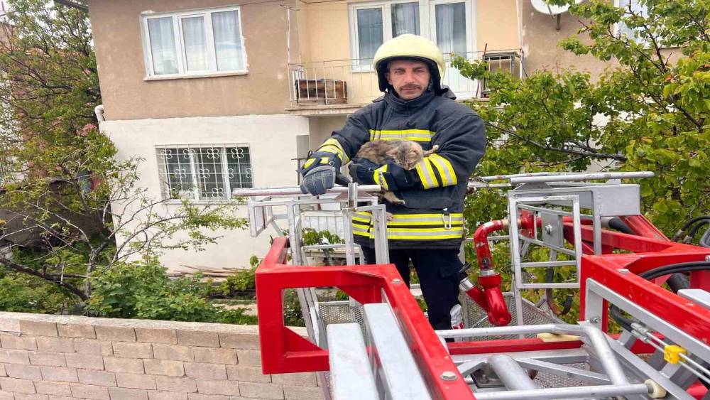 Erzincan&rsquo;da &ccedil;atıda mahsur kalan kedi itfaiye ekiplerince kurtarıldı
