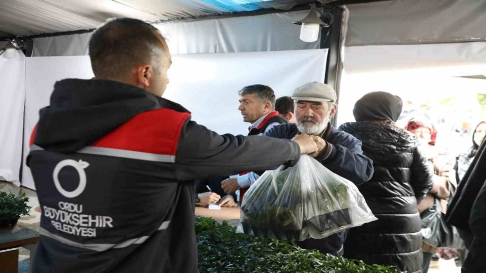 Ordu B&uuml;y&uuml;kşehir, 7 yılda 5 milyona yakın fide dağıttı
