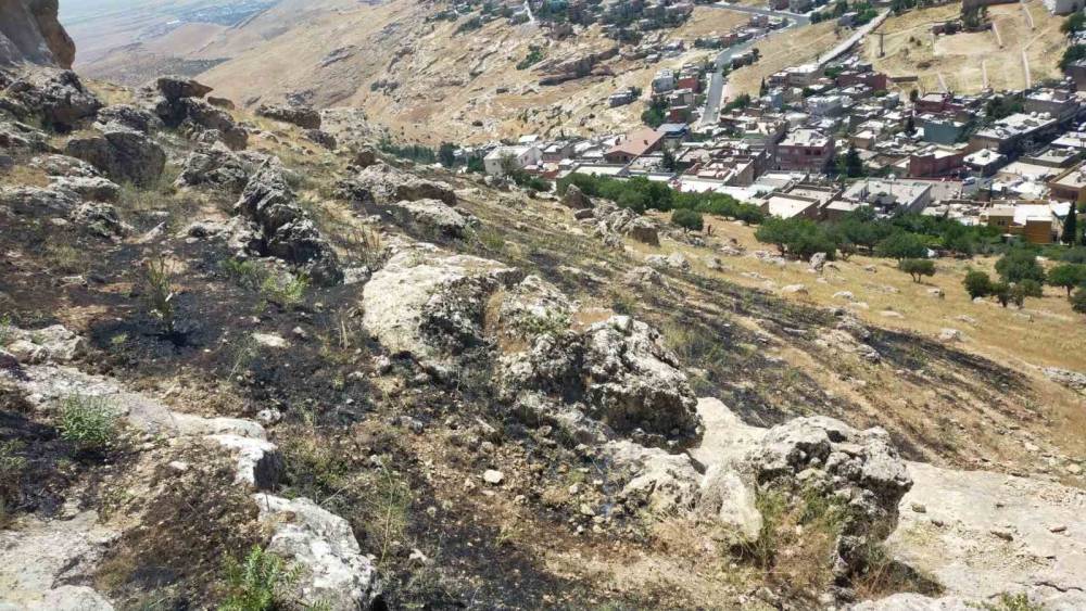 Mardin&rsquo;de ormanlık alanda &ccedil;ıkan yangın s&ouml;nd&uuml;r&uuml;ld&uuml;
