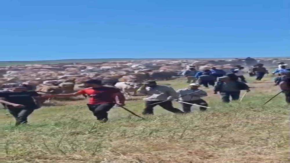 Muş&rsquo;ta iki k&ouml;y arasında &rsquo;arazi&rsquo; kavgası: 2 yaralı
