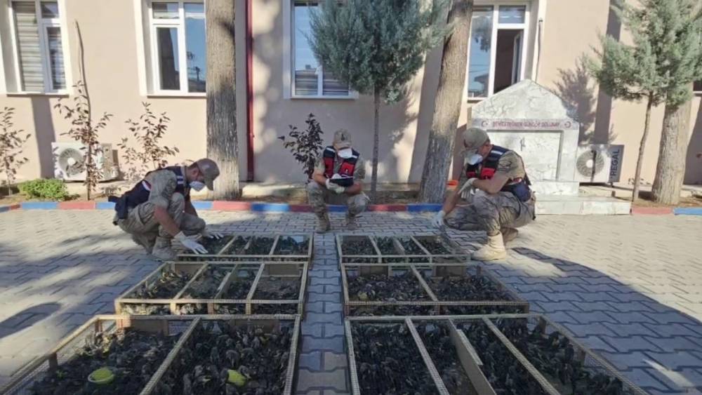 Suriye&rsquo;ye ge&ccedil;irilmek istenen 2 bin 114 saka kuşuna 19 milyon 871 bin TL ceza
