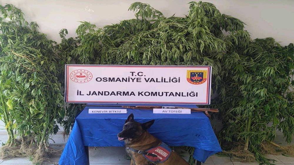 Osmaniye&rsquo;de jandarma bir haftada 128 ş&uuml;pheli yakaladı
