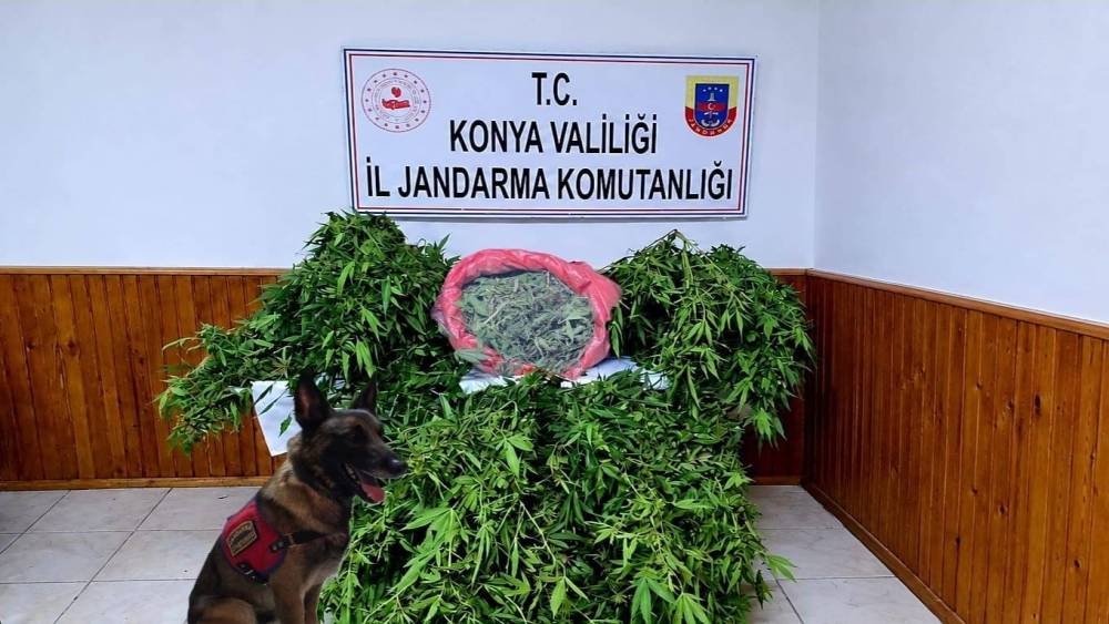 Depo g&ouml;r&uuml;n&uuml;ml&uuml; alana kenevir eken ş&uuml;pheli yakalandı
