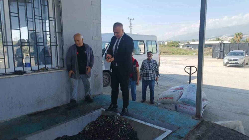 Hatay&rsquo;da kaliteli zeytinyağı &uuml;retimi i&ccedil;in hasat uyarısı
