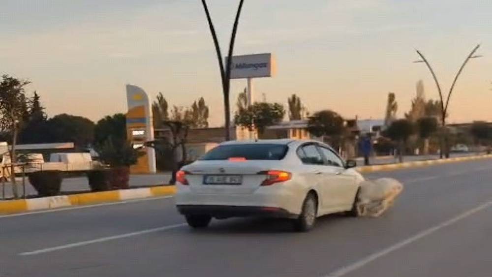 Karayoluna fırlayan 3 ke&ccedil;i aracın &ccedil;arpması sonucu telef oldu
