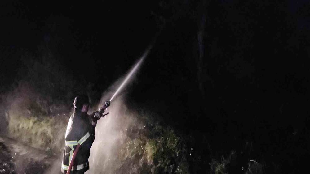 Kastamonu’da çıkan orman yangını söndürüldü
