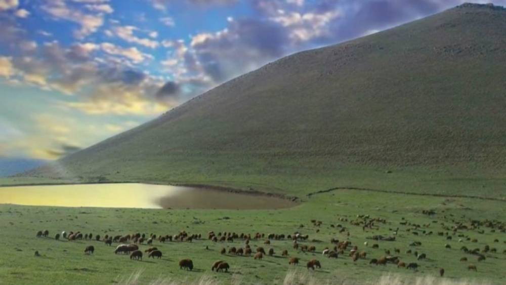 Köy muhtarının merayı kiraya vermesiyle ilgili soruşturma başlatıldı
