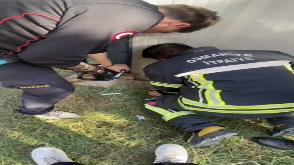 Konteyner ile duvar arasına sıkışan yavru kedi kurtarıldı
