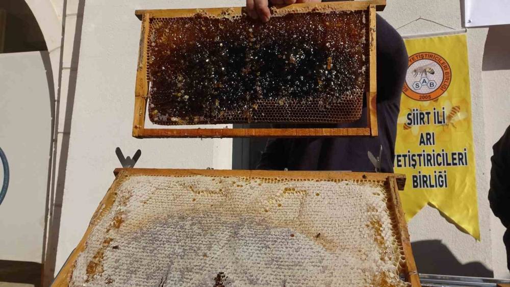 Siirt’te arıcılara 268 milyon 765 bin liralık destek
