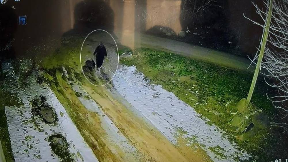 Diyarbakır&rsquo;da kayıp kadının son g&ouml;r&uuml;nt&uuml;s&uuml; ortaya &ccedil;ıktı
