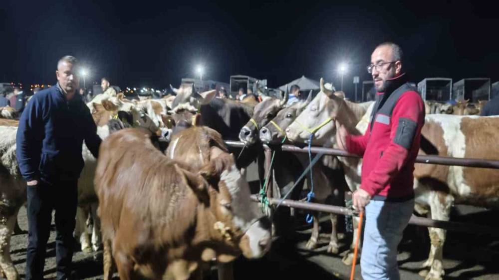 İ&ccedil; Anadolu&rsquo;nun en b&uuml;y&uuml;k hayvan pazarında yoğun kurban mesaisi başladı
