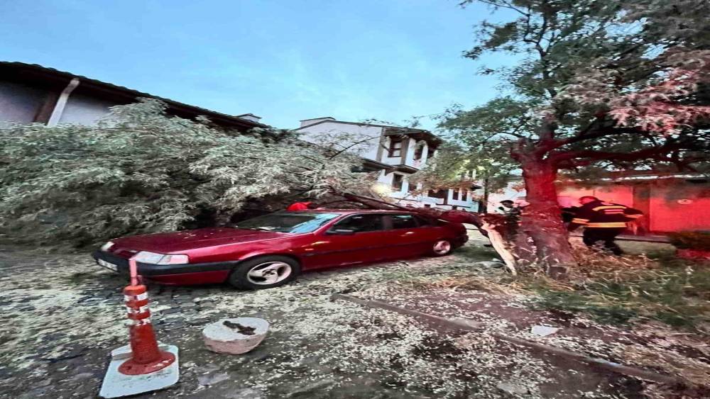 Ara&ccedil; &uuml;zerine d&uuml;şen ağa&ccedil; itfaiye ekiplerinin titiz &ccedil;alışmasıyla kaldırıldı

