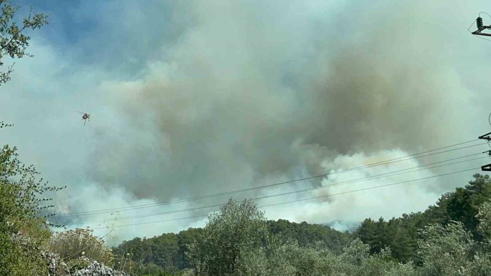 Fethiye&rsquo;de orman yangınını s&ouml;nd&uuml;rmek i&ccedil;in ekipler seferber oldu
