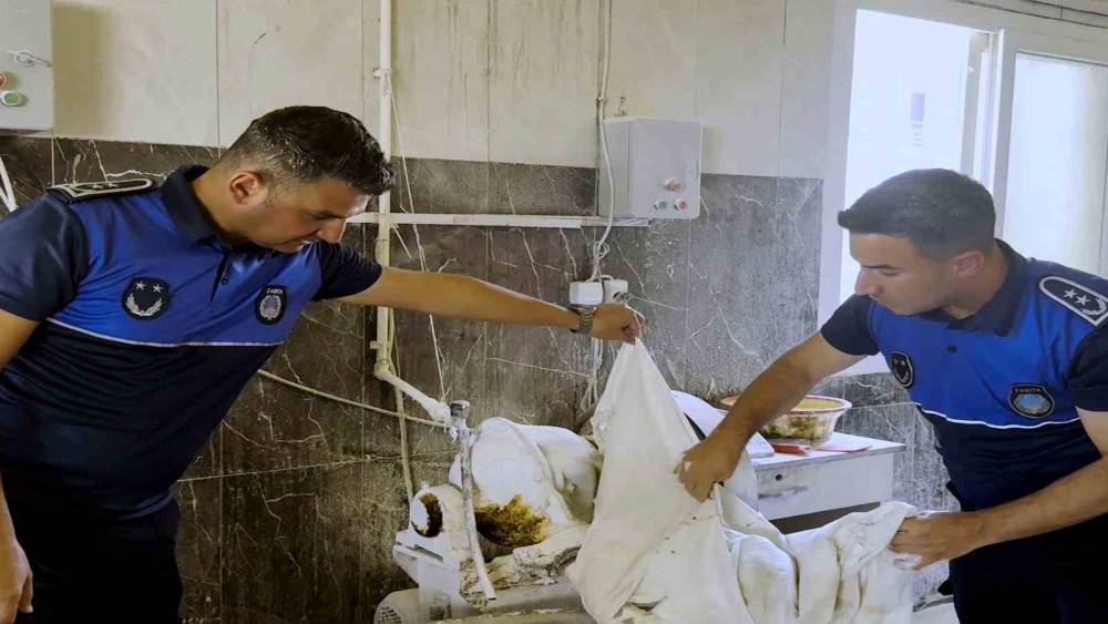Tarsus&rsquo;ta fırın denetimlerinde haşereli hamur tespit edildi
