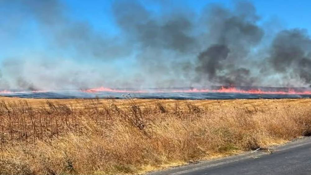 Anız yangınında yaklaşık 25 d&ouml;n&uuml;m arazi k&uuml;le d&ouml;nd&uuml;
