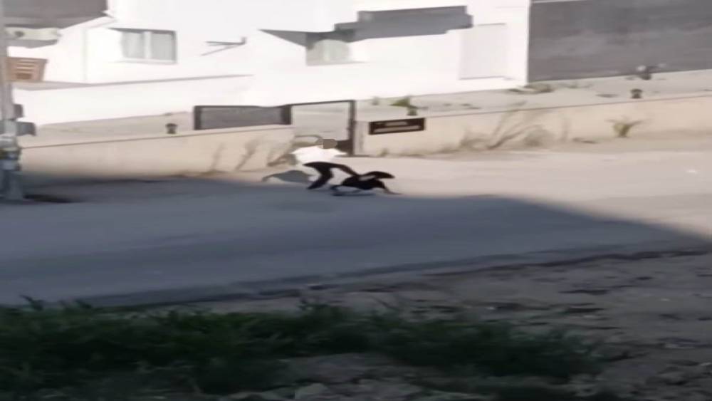 Kadını &ouml;ld&uuml;resiye d&ouml;vd&uuml;, serbest kaldı
