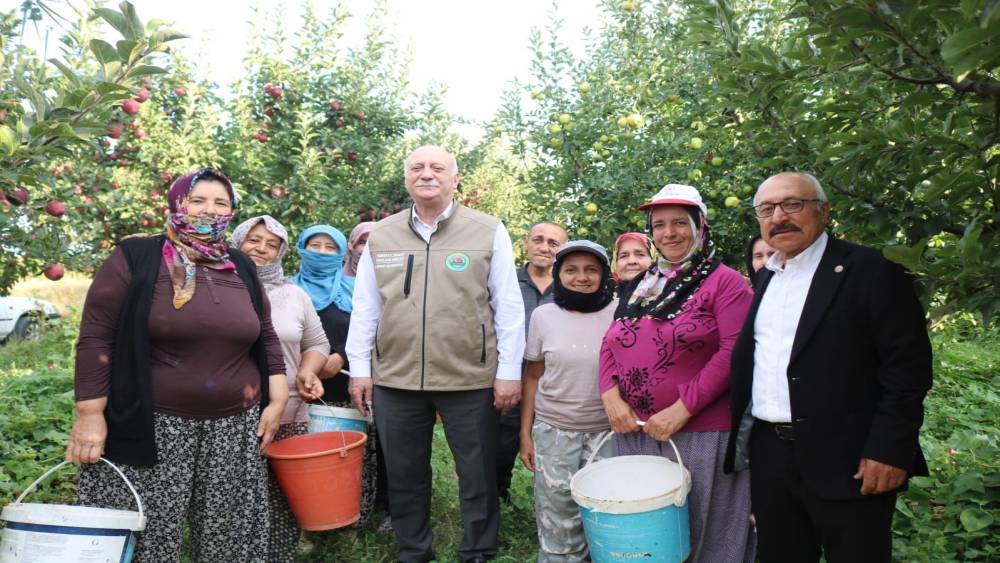 Şemsi Bayraktar, &Ccedil;ivril&rsquo;de elma hasadı yaptı
