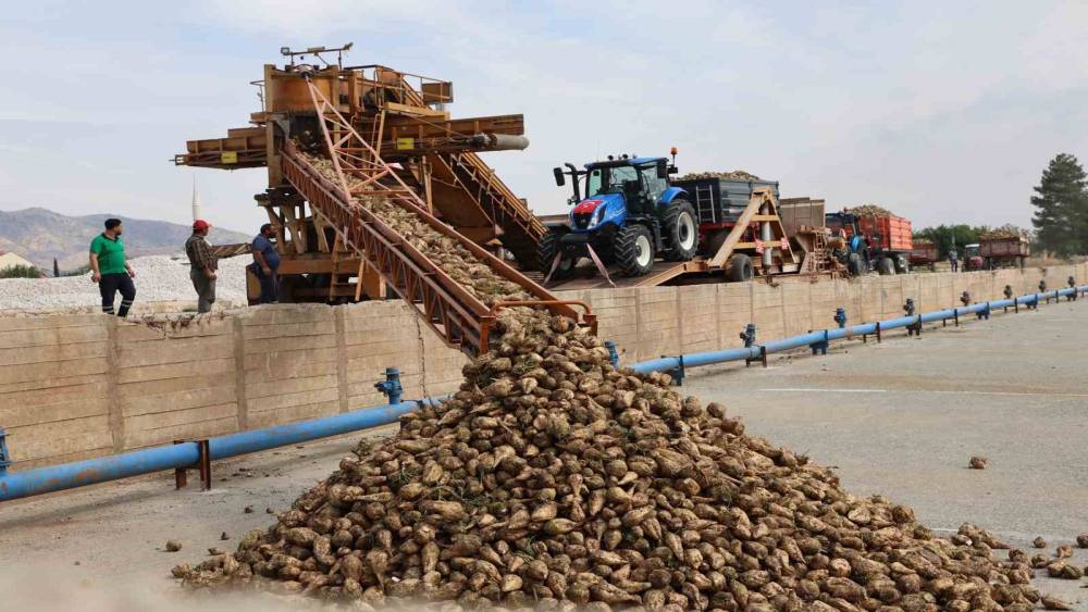 Elazığ Şeker Fabrikası&rsquo;nda 71. Kampanya D&ouml;nemi a&ccedil;ıldı: 240 bin ton pancar işlenecek
