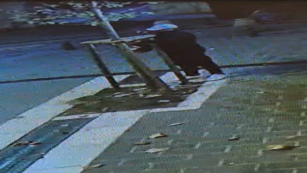 Fatih&rsquo;te &lsquo;d&uuml;kkanın &ouml;n&uuml;n&uuml; kapatıyor&rsquo; diyerek ağacı testereyle kestiler: O anlar kamerada

