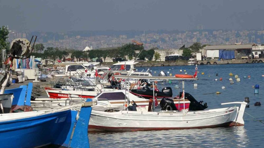 Karadeniz&rsquo;de palamut alarmı: "&Ouml;n&uuml;ne ne gelirse yiyor, bir an &ouml;nce hepsinin tutulması gerekiyor"
