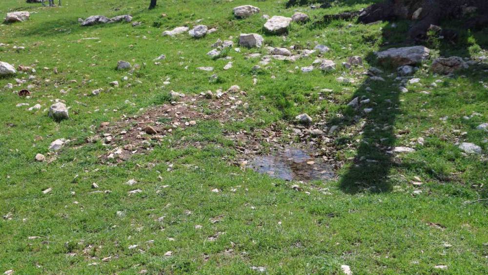 G&uuml;listan Doku&rsquo;nun ilk g&ouml;m&uuml;ld&uuml;ğ&uuml; iddiaya edilen yer havadan g&ouml;r&uuml;nt&uuml;lendi
