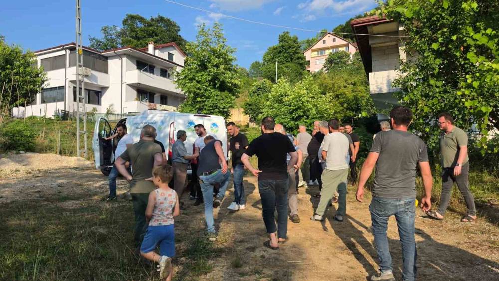 Ihlamur toplamak i&ccedil;in &ccedil;ıktığı ağa&ccedil;tan d&uuml;şerek hayatını kaybetti
