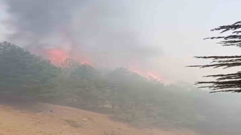 Adıyaman&rsquo;daki orman yangını kontrol altına alındı
