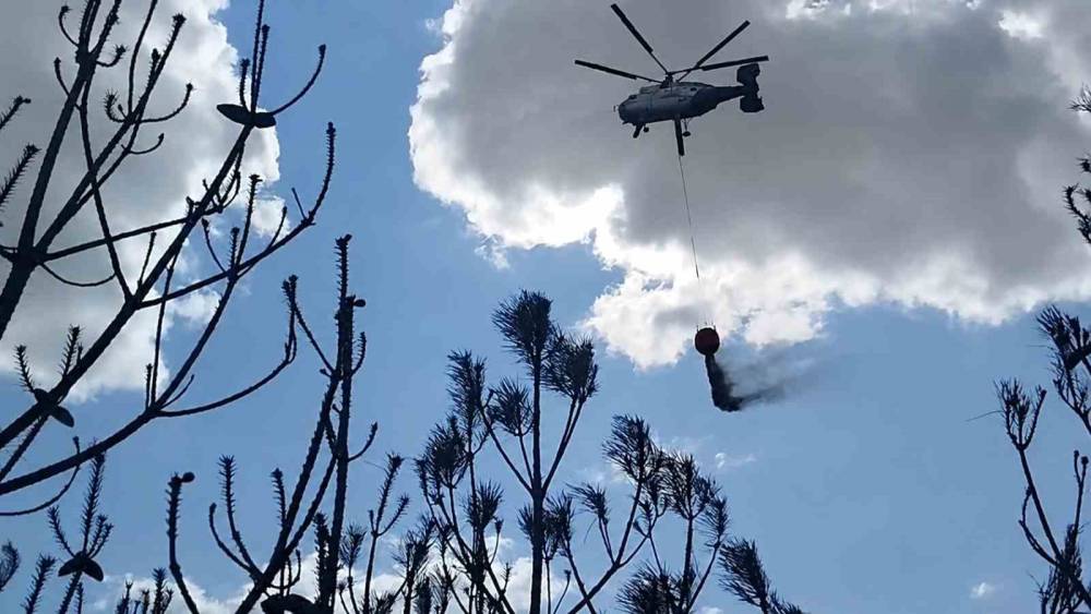 Kırklareli&rsquo;deki orman yangını s&ouml;nd&uuml;r&uuml;ld&uuml;: 35 dekar alan zarar g&ouml;rd&uuml;
