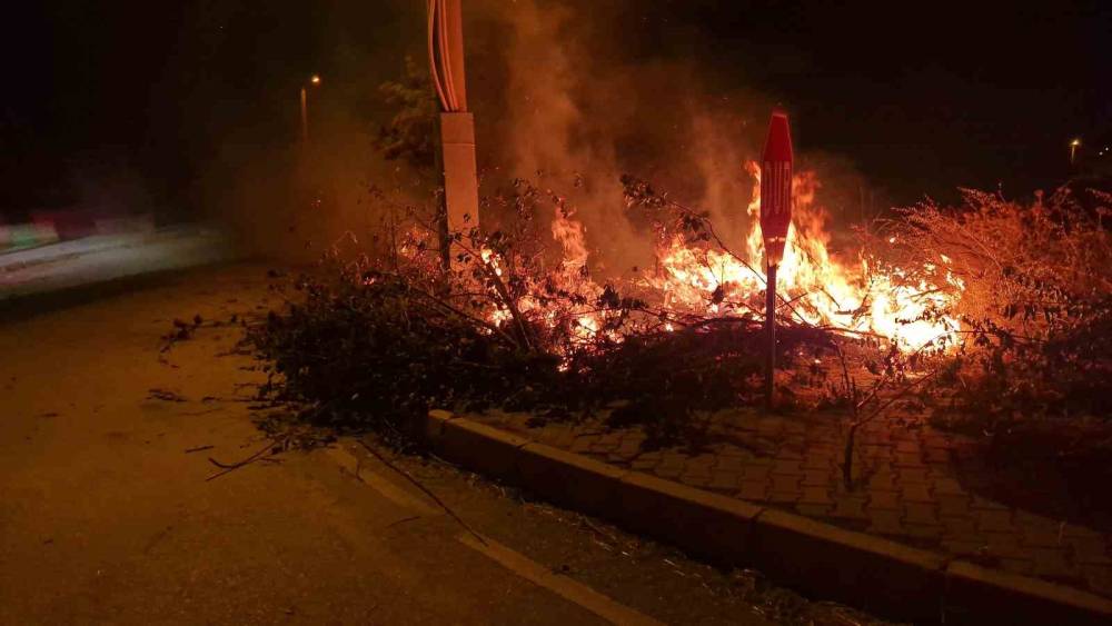 Alaca&rsquo;da &ccedil;ıkan &ouml;rt&uuml; yangını s&ouml;nd&uuml;r&uuml;ld&uuml;
