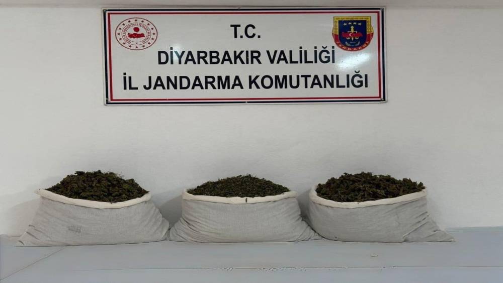 Diyarbakır&rsquo;da 253 bin k&ouml;k kenevir ve 42 kilo esrar ele ge&ccedil;irildi
