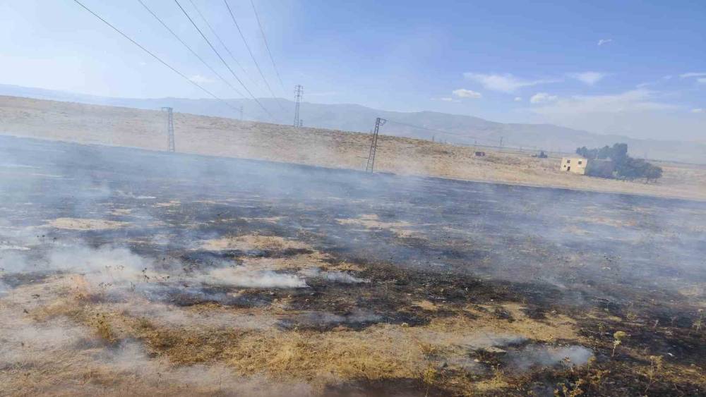Muş&rsquo;ta iki b&ouml;lgede &ccedil;ıkan anız yangınları s&ouml;nd&uuml;r&uuml;ld&uuml;
