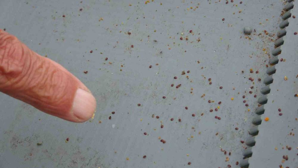 Arılı kovanların ilkbahara sağlıklı &ccedil;ıkması i&ccedil;in varroa m&uuml;cadelesi b&uuml;y&uuml;k &ouml;nem taşıyor
