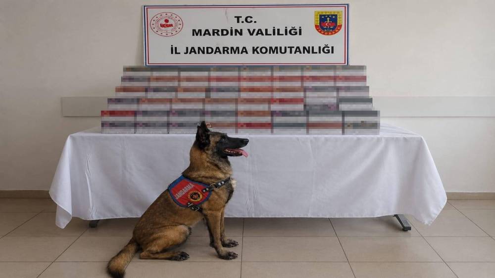 Mardin&rsquo;de 8 milyon lira değerinde ka&ccedil;ak &uuml;r&uuml;n ele ge&ccedil;irildi

