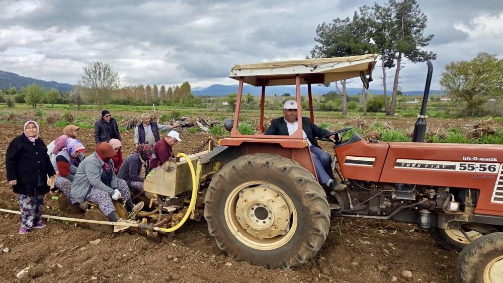 Başkan P&uuml;t&uuml;n t&uuml;t&uuml;n sezonun başlamasıyla birlikte &uuml;reticiyle tarlada buluştu

