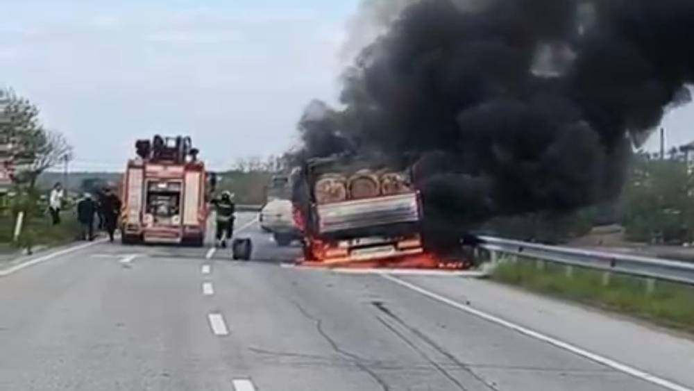 Seyir halindeki tomruk y&uuml;kl&uuml; kamyon alevlere teslim oldu
